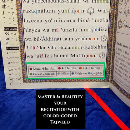 Quran - Roman Transliteration + English Translation